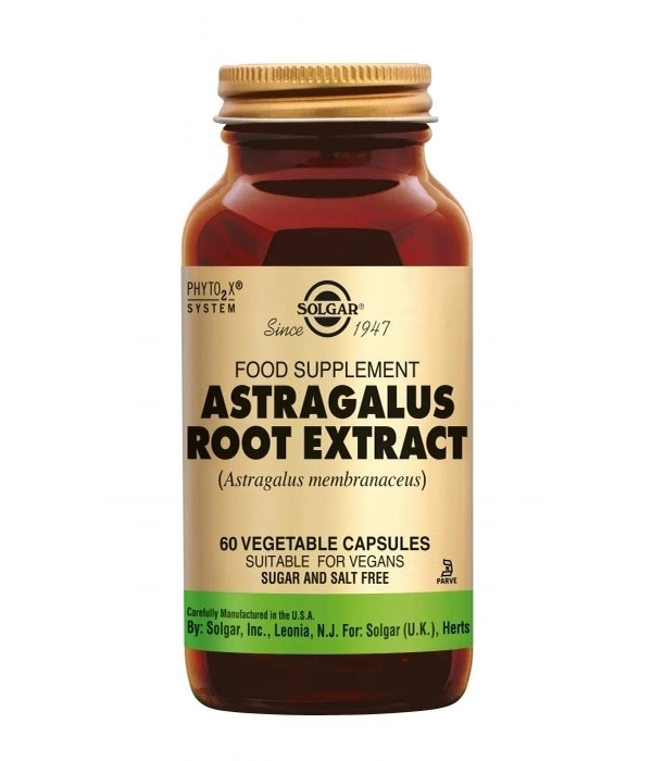 Astragalus Root Extract 60 Cápsulas