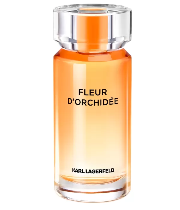 Fleur d'Orchidée