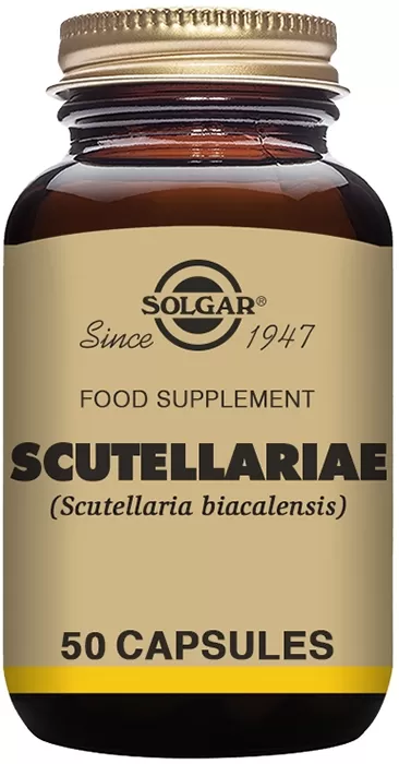 Escutelaria (Scutellaria baicalensis) Escutelaria (Scutellaria baicalensis)