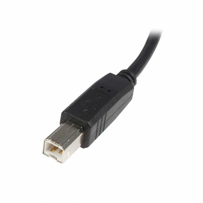 Cable USB A a USB B Startech USB2HAB3M            Negro