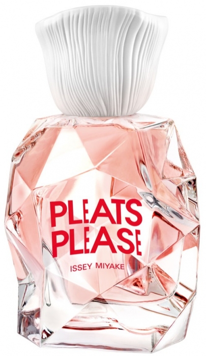 Pleats Please Pleats Please