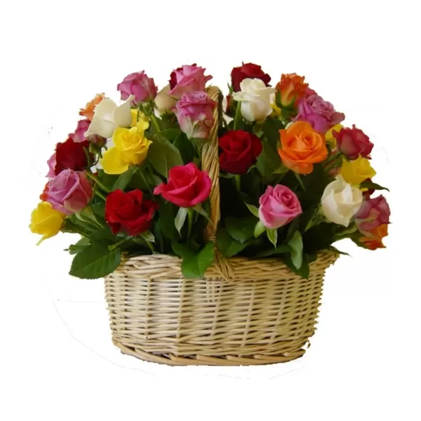 Cesta 50 Rosas Multicolor Cesta 50 Rosas Multicolor