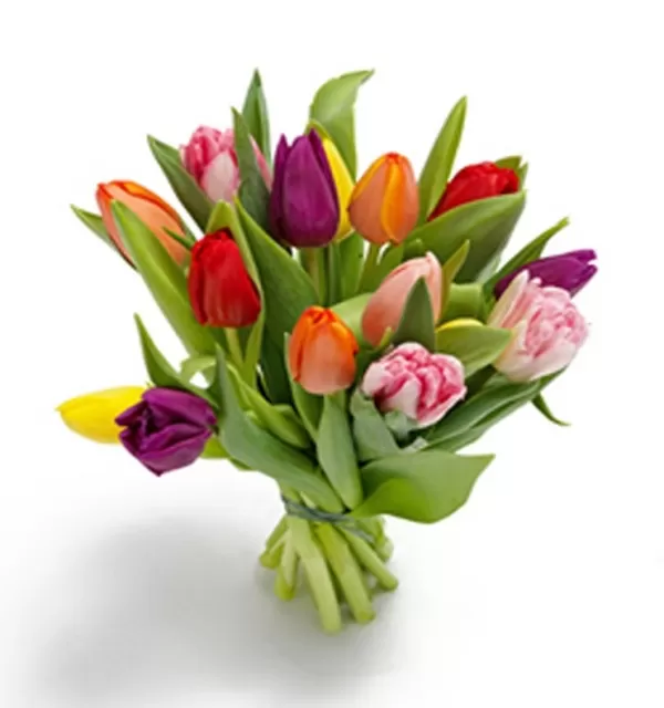 Ramo Tulipanes Ramo Tulipanes
