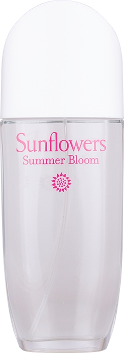 Sunflowers Summer Bloom Sunflowers Summer Bloom
