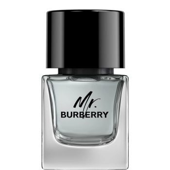 Mr. Burberry Mr. Burberry