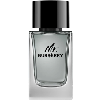 Mr. Burberry Mr. Burberry