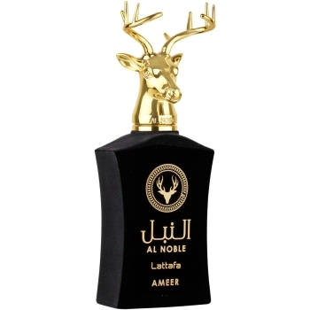 Ameer