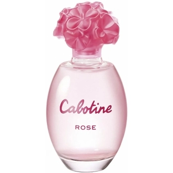 Cabotine Rose