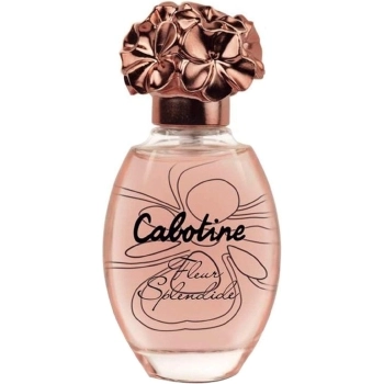 Cabotine Fleur Splendide