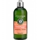 Reparation Intense Shampooing 300ml