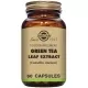 Té Verde Extracto de Hoja (Camellia sinensis) - 60 Cápsulas vegetales Té Verde Extracto de Hoja (Camellia sinensis) - 60 Cápsulas vegetales