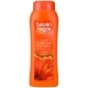 Champú Cabello Teñido Hidratación & Brillo 400ml