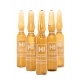 Ampollas Proteoglicanos Antimanchas 5x2ml Ampollas Proteoglicanos Antimanchas 5x2ml