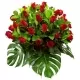 Centro 24 Rosas Rojas Centro 24 Rosas Rojas