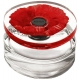 Flower In The Air edp 100ml Flower In The Air edp 100ml